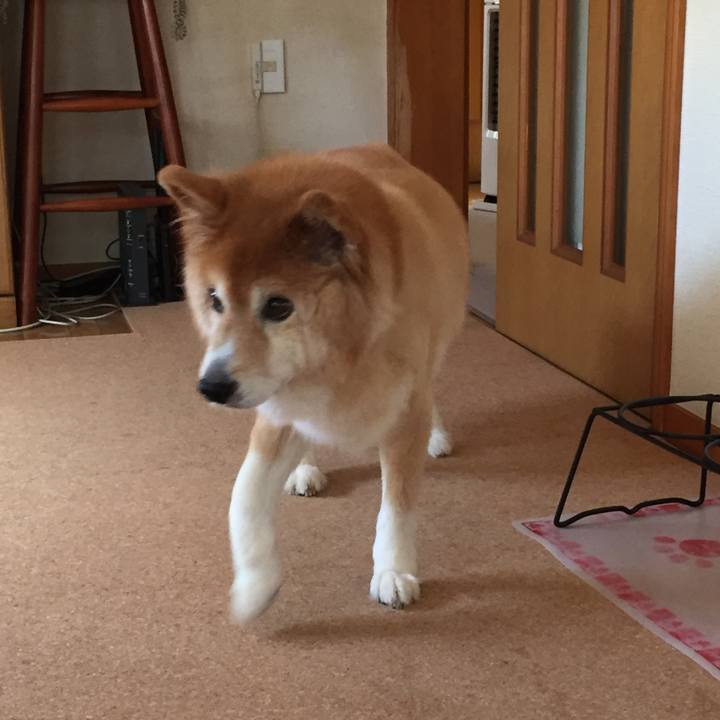 B687c6ea b0f0 4bae acab c8f66c421ef1