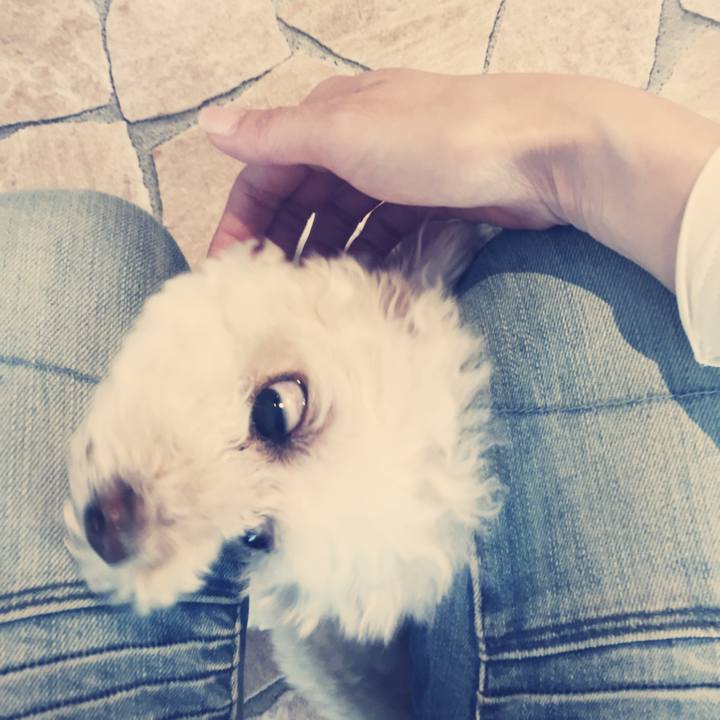 B688124f 974c 4fbf a8d2 6e40eba43ffe