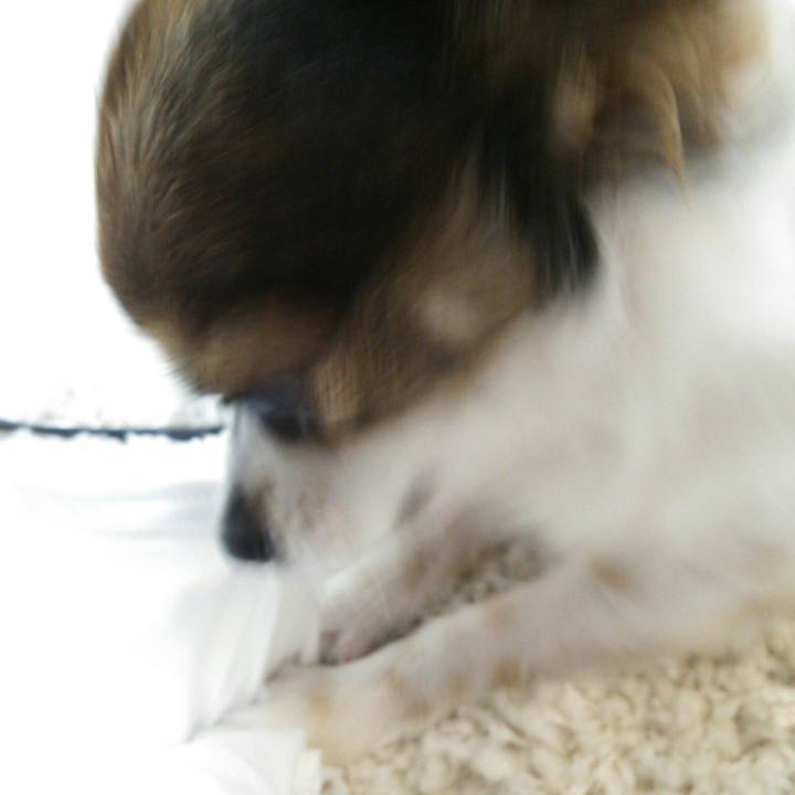 B688c0da 8227 4ec8 b67d 01f0241cf556