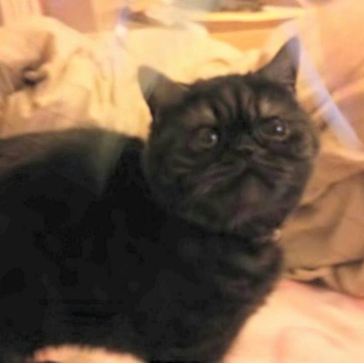 B689efad 5140 4aa4 9ecf 6e123a163c6e