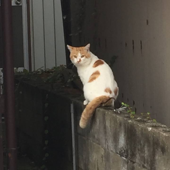 B68ab02a b9c8 46b5 aa6d 8dd0c72c3264