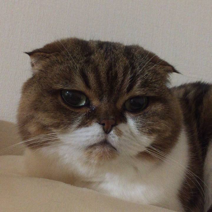 B68bf5e2 d05a 44b9 8846 59e8ab7ca480