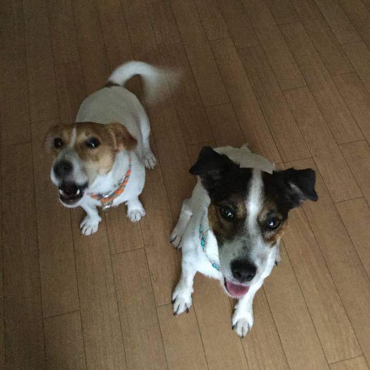 B68c90af 71b4 4583 8bd9 3791ccf75bf1