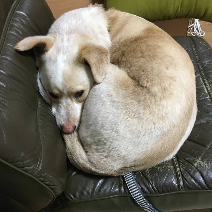 B68ccf15 ff95 4b73 9587 175fc98b5844