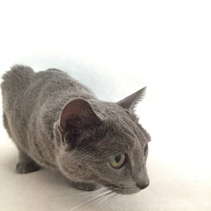 B68ce8b7 a9c6 4450 8861 b7a03a6219d6