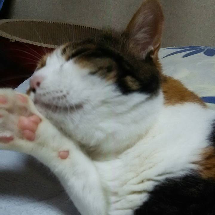 B68d3692 c57b 4400 81ec 2defc8776a14