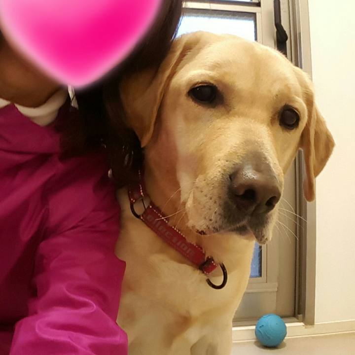 B68d5698 5fa4 489d 9ea9 e44e27e14e4b