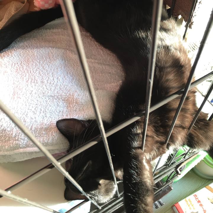 B68e2b56 dea0 4e0c 90c8 b1f37a274458