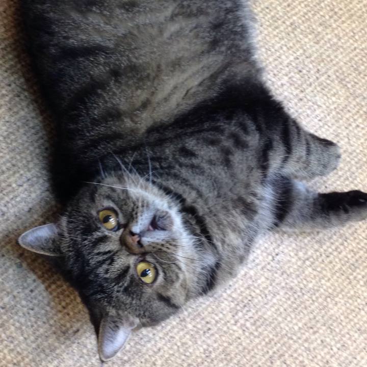 B68e9dd4 4024 4a73 9af0 b0e86c57e163