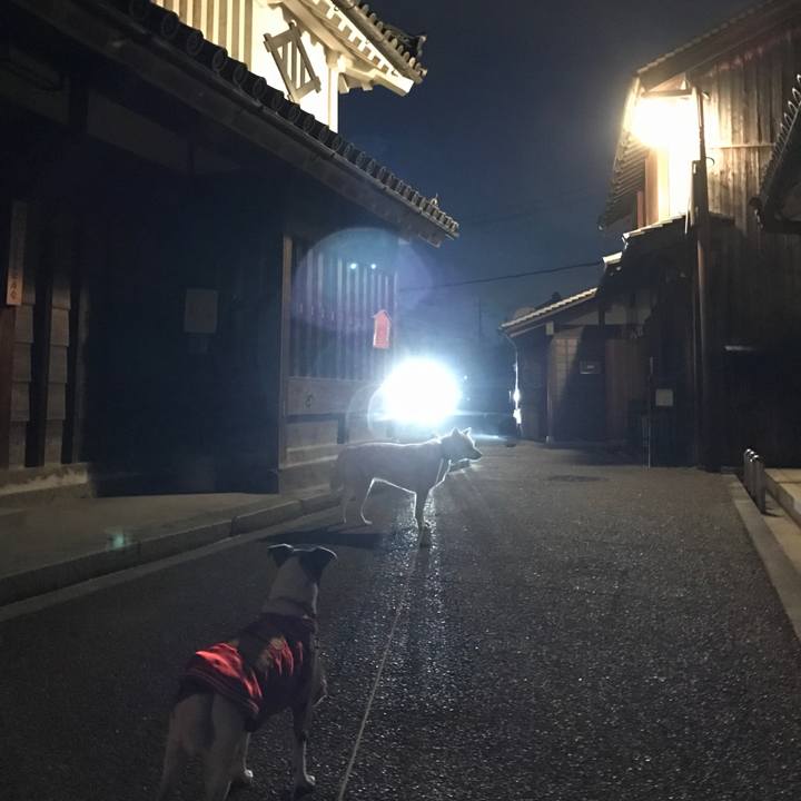 B68f506b ee63 459e 86ec 4aa2671a82be