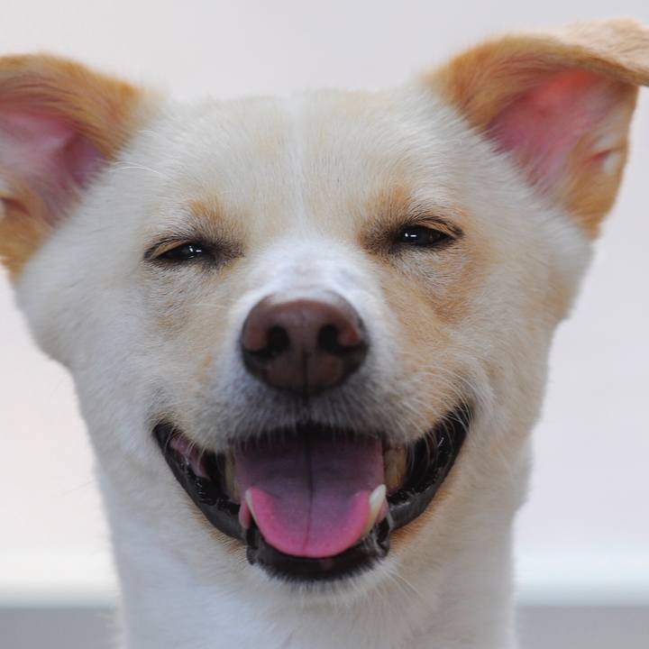 B68f5444 f6c9 4b73 b636 18cb57104759