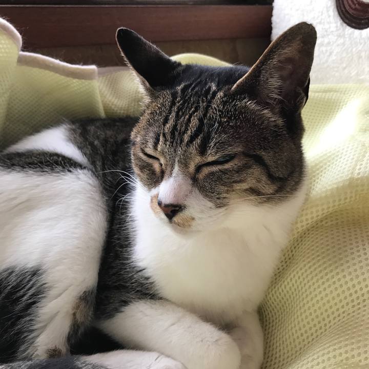 B68f615c b9ff 4192 aff5 6b59e8e7c443