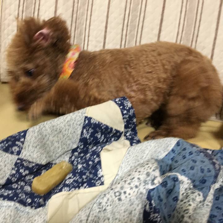 B68fb294 e3b9 4723 bfd2 c854b8d4223c