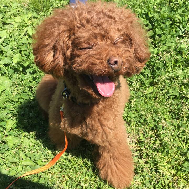 B68ff323 a895 4f39 b0fc 4e2d6e7f6377