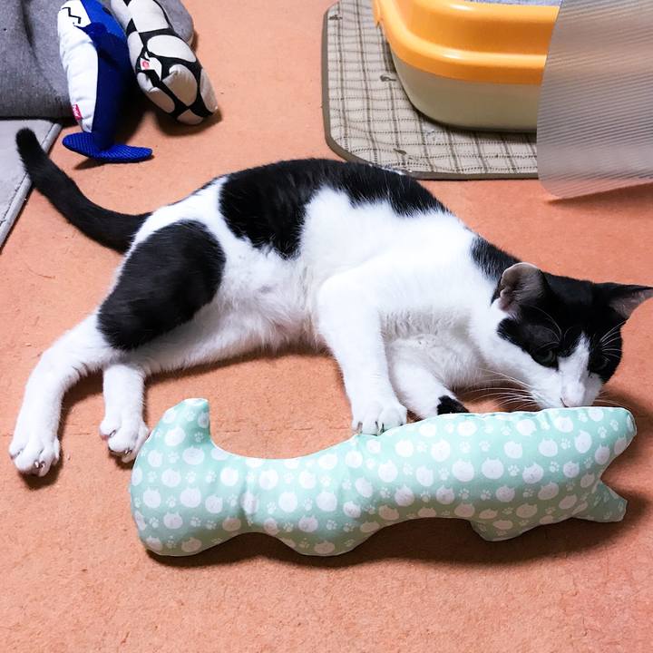 B6900a60 bace 4d38 88a6 4d0e11285a7d