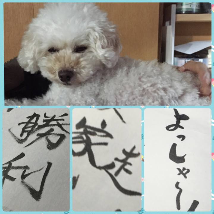 B6902e27 e359 4582 aca0 3b9fb39db72f