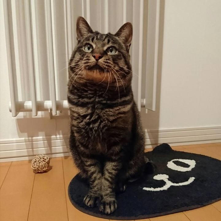 B69033bd d3aa 4a78 84ae 6b96af4539f0