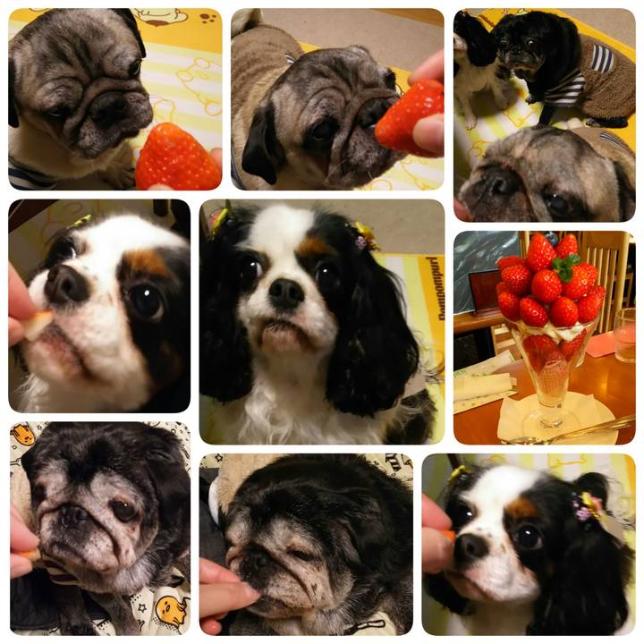 B6909996 9ec5 4ffb af7e 25a9c2ef5b10