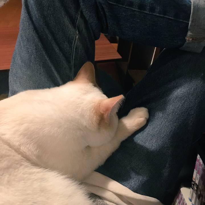 B691bc25 1eff 44f8 b510 1a8978c21925