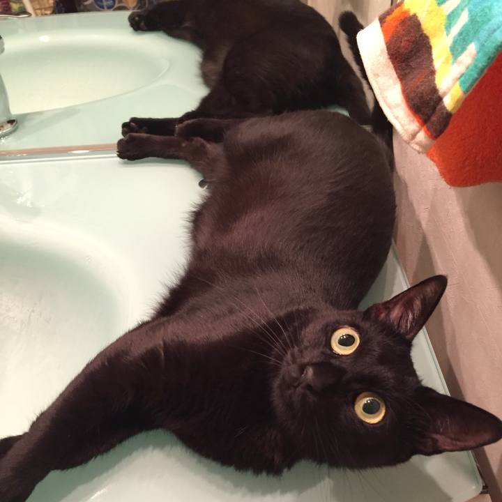 B691e799 6686 4611 a08b 177feb5968b1