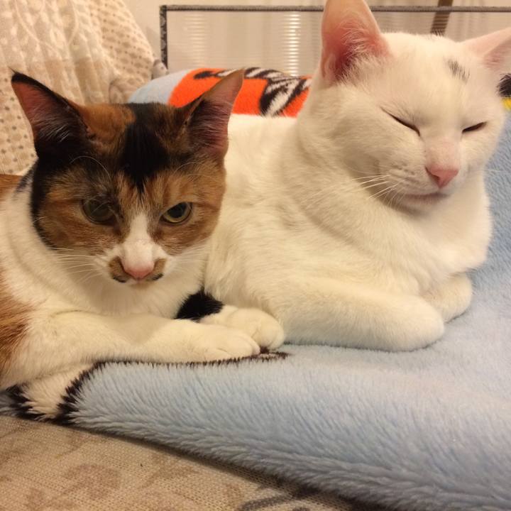 B69284ac 470f 41a3 9414 3ce09bd93bc6