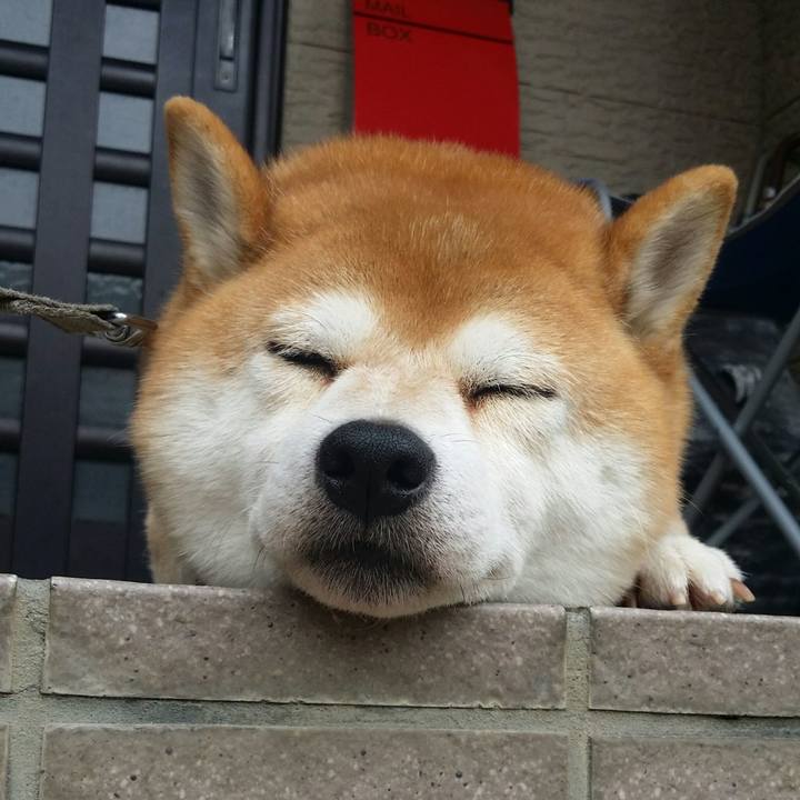 B692e45f 5755 4188 9267 612bd639e479