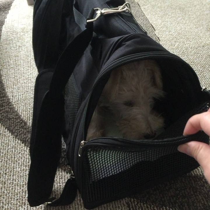 B6931b7e 1f8a 4f24 be20 484989bb08f4