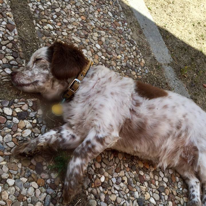 B69331e2 0a51 4899 9851 d252baab1ae7