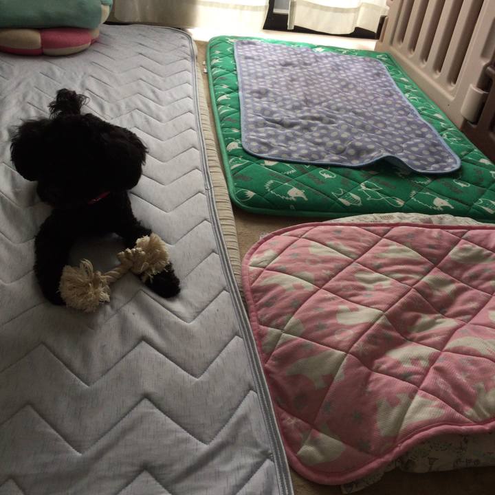 B69422c2 2c92 4d45 b0a6 a92ff89db199