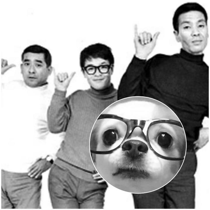 B69482e3 c561 4cb2 89ff bcdc89897c0b