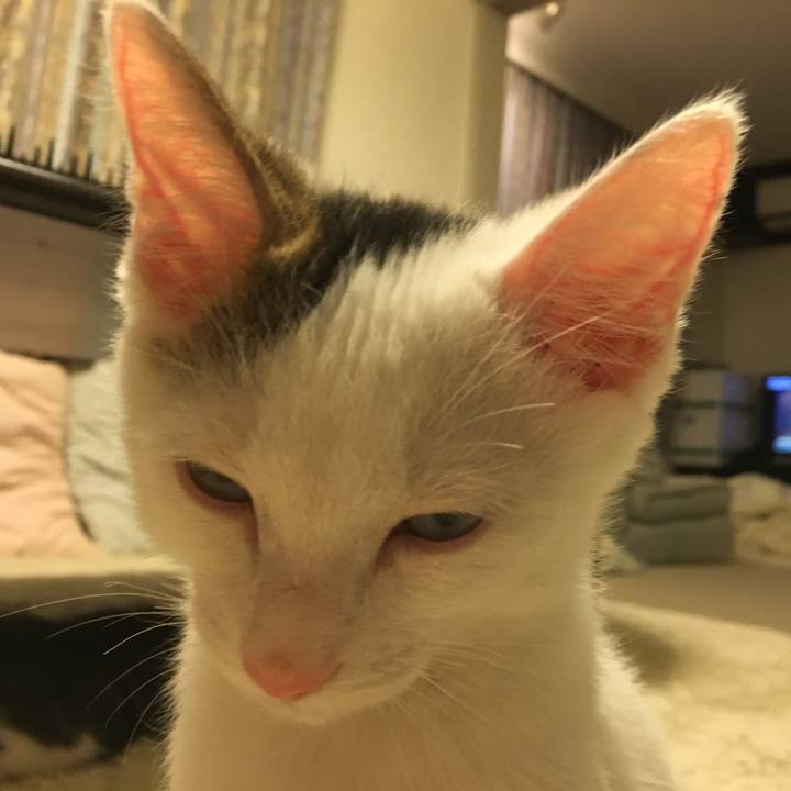 B6954cd8 b646 42db 80c9 6723750a36c9