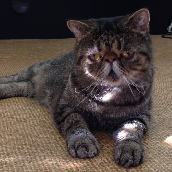 B695994e c25f 43dc 86ea a3bb3cdfa1dd