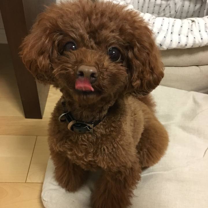 B6963b2b d60d 4b6d a6f0 6d1a1f244548