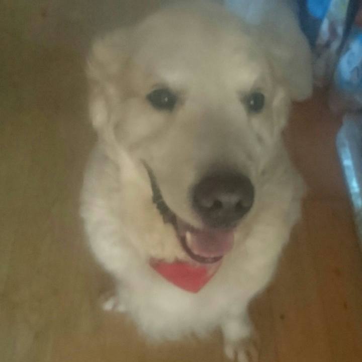 B69653a2 8040 486a bebd 36f324310f54