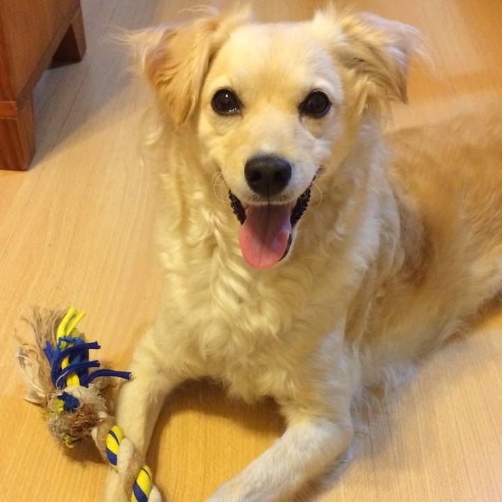 B6966ec7 5c17 4800 8d08 07b98893705e