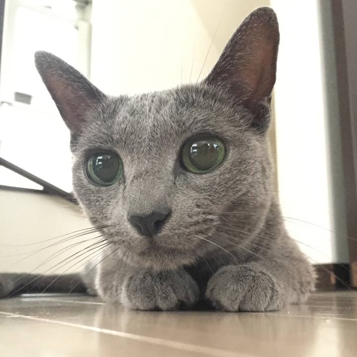 B6968a4c 55bc 4f32 9e6c e181be39ec23