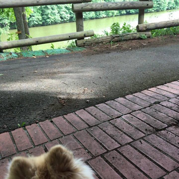 B696c729 1fbe 45dc b2aa bb44229b7f73