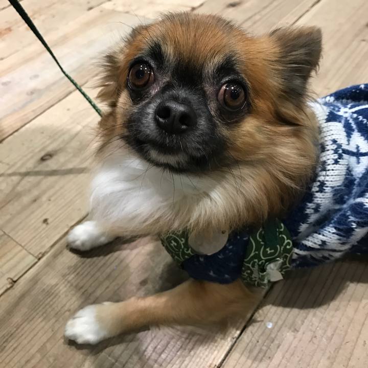 B696e035 316d 4bbc 980b 848d56a2387d