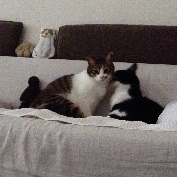 B69708d9 1b3d 4f0d ac43 1c5870475700