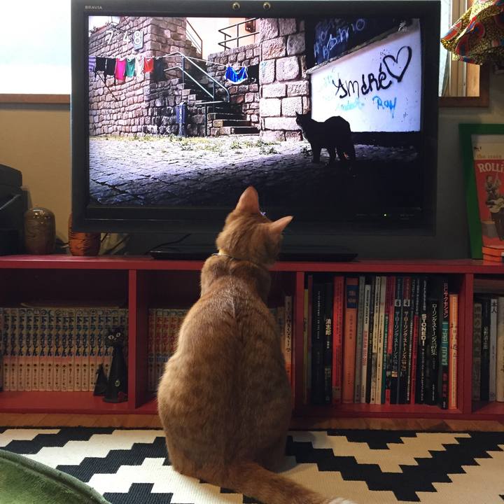 B697e3a7 4c34 45a3 87f9 e363bcbc618d