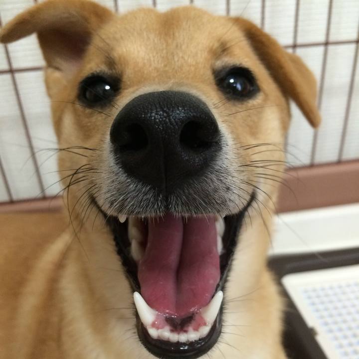 B697ee31 120d 402a 940c 070c001f2957