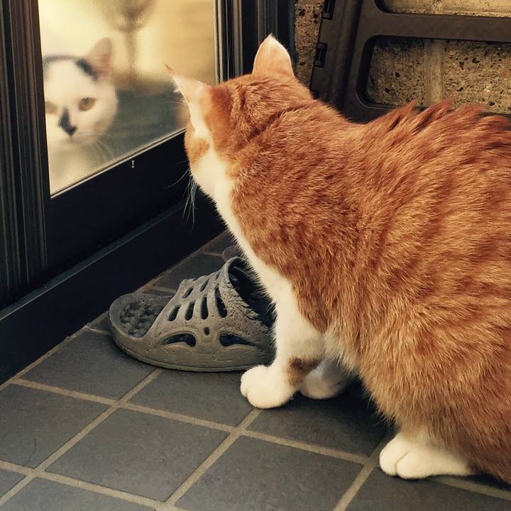 B6986b14 bb3e 4e24 96c5 d1d46c4fa87a