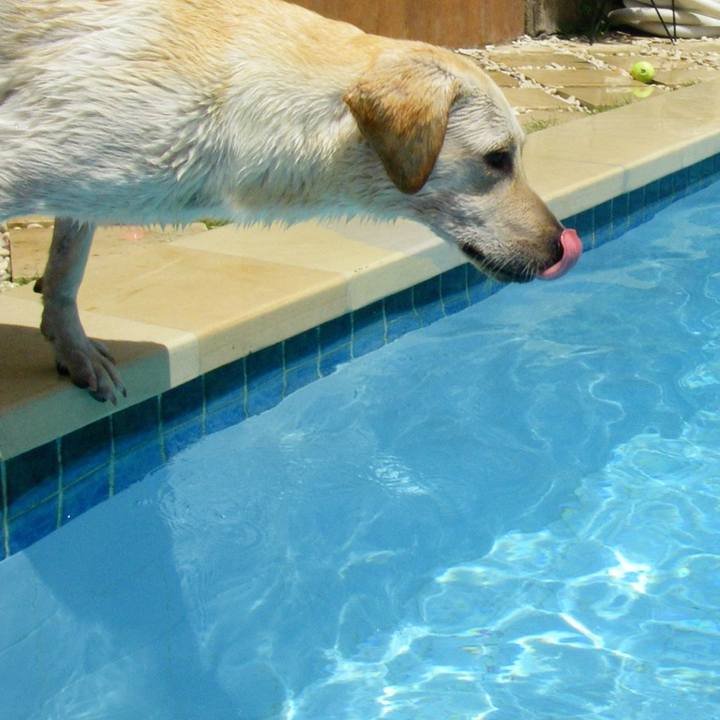 B69879cc 70fe 4606 a31b 0c95b6ff4b9f