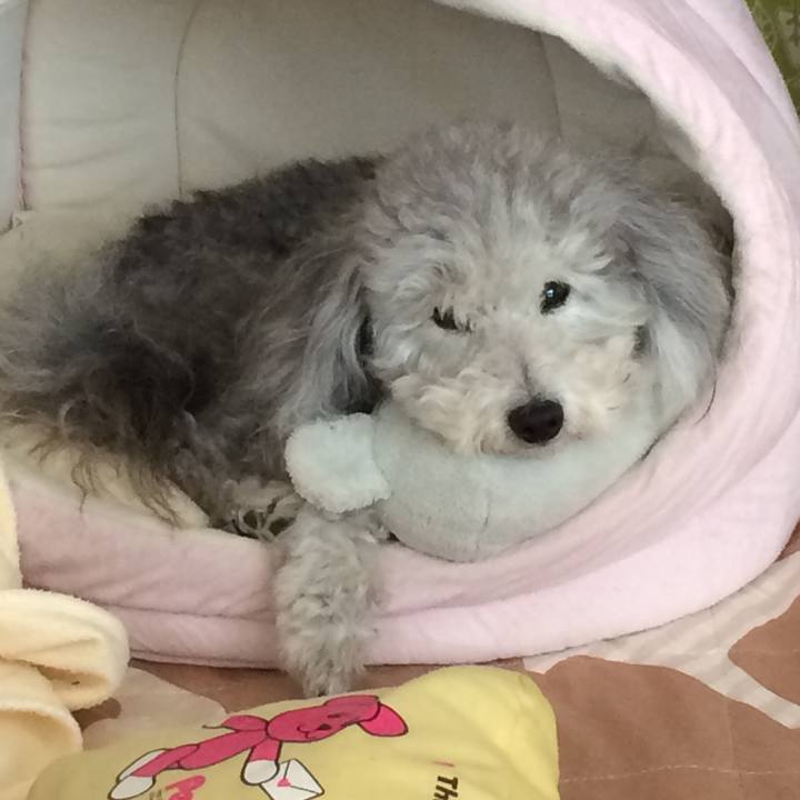 B6995b9c 39f1 4e6a b8ac d9d6dcbcdbb7