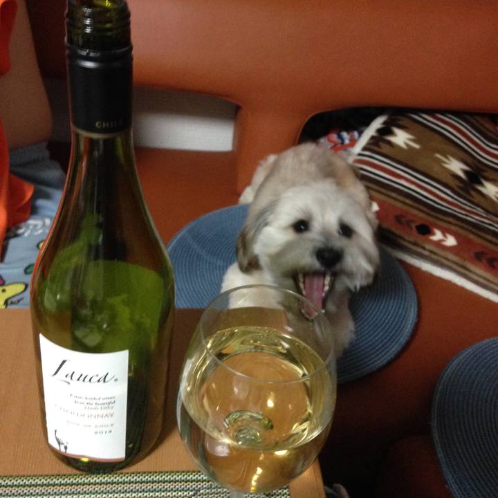 B699621f edc6 45c7 a204 d8036a8e506d