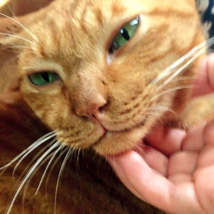 B6997502 ab09 4dc2 aecb 735b5970afbc