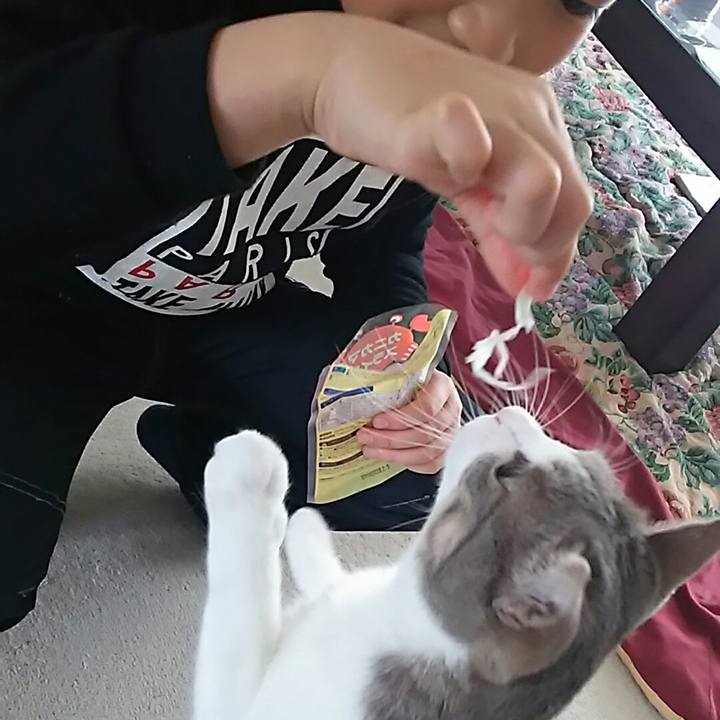 B699b4a2 add7 4590 a60a ec7546359351