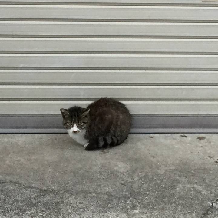 B69a8283 6129 4bbf beda 4541b6b8acfe