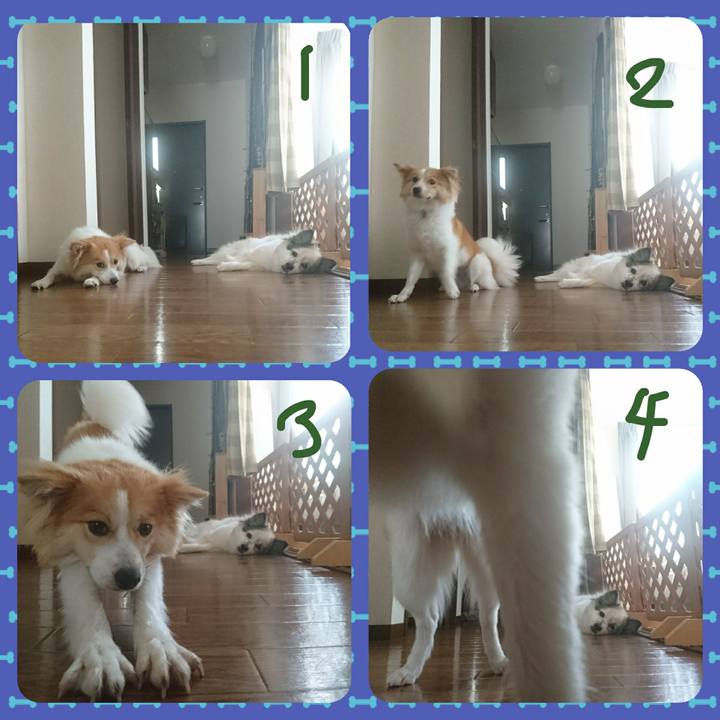 B69aa18c 47bc 49e2 88ac 2ee9daa018dc