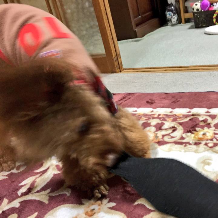 B69ade0b 3624 424a 9921 def19ab4669b